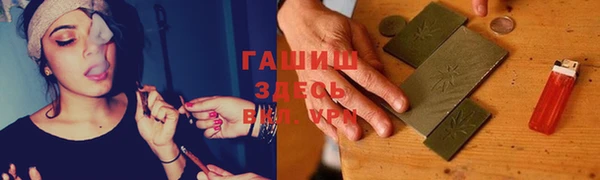 прущие грибы Новокубанск