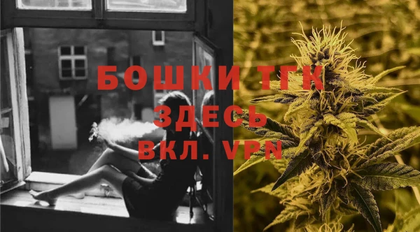 apvp Новозыбков