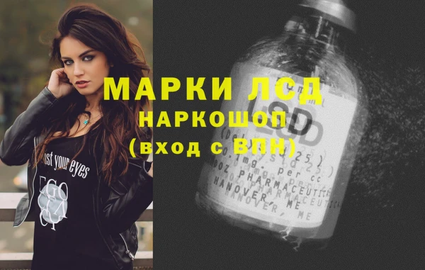 прущие грибы Новокубанск
