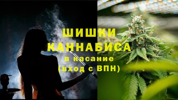 прущие грибы Новокубанск